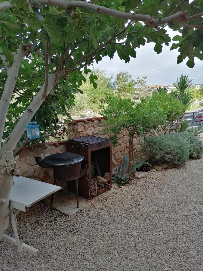 House For Rent Paola Βίλα Ražanac Εξωτερικό φωτογραφία